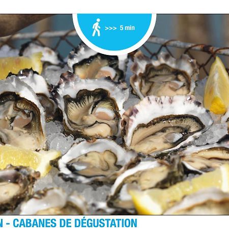 Nouveau ! Lanton Plage, 6 Voyageurs 外观 照片