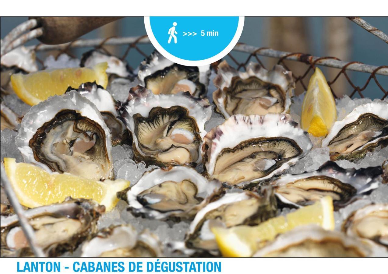 Nouveau ! Lanton Plage, 6 Voyageurs 外观 照片